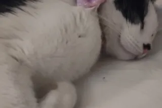 🌸👑🐻Friday Morning Update: Quee... - Image 4